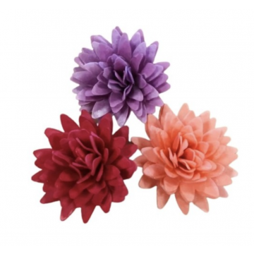 18 Fiori Aster Mix 3 colori in ostia 6 cm