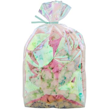 Sacchetti Iridescenti 20 pz